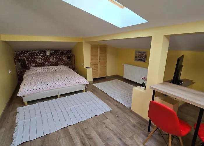 Apartament Ultra Central!