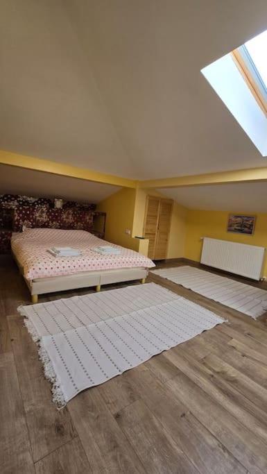 Apartment Ultra Central! Iasi